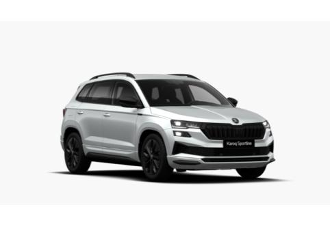 Skoda Karoq #1