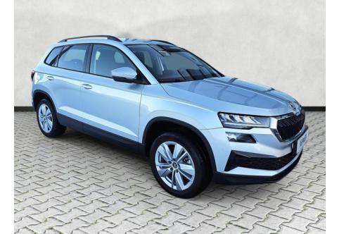 Skoda Karoq #1