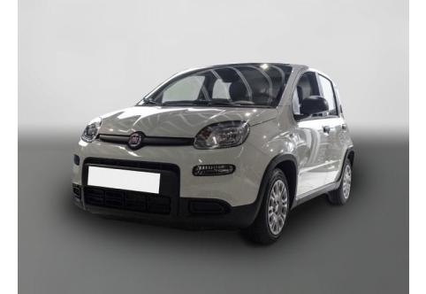 Fiat Panda #1