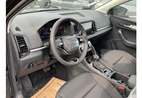 Skoda Karoq #1
