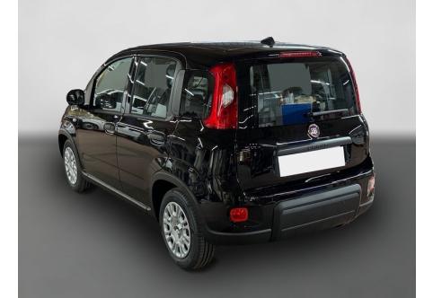 Fiat Panda #3