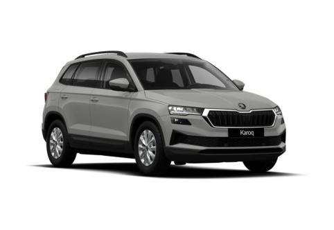 Skoda Karoq #1
