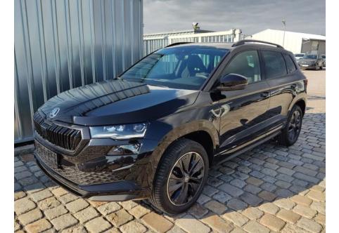 Skoda Karoq #3