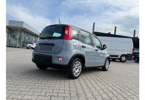Fiat Panda #4