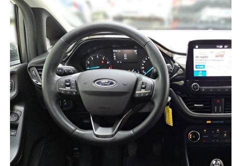 Ford Fiesta #10