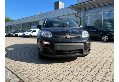 Fiat Panda #6