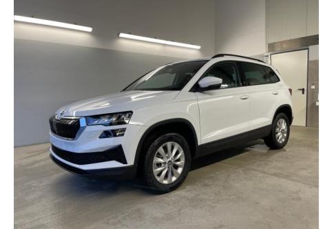 Skoda Karoq #1