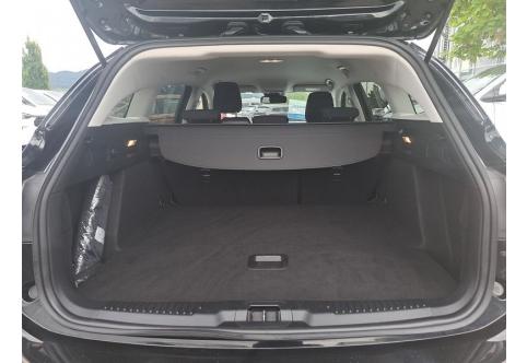 Ford Focus #7