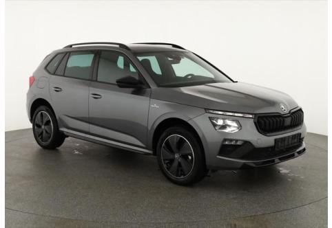 Skoda Kamiq #1