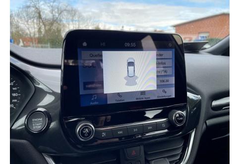 Ford Fiesta #17