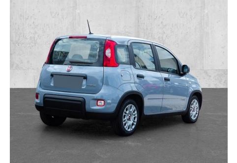 Fiat Panda #2