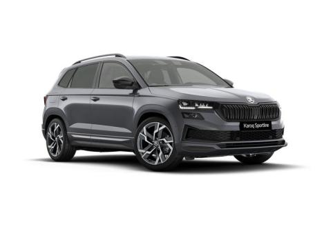 Skoda Karoq #1