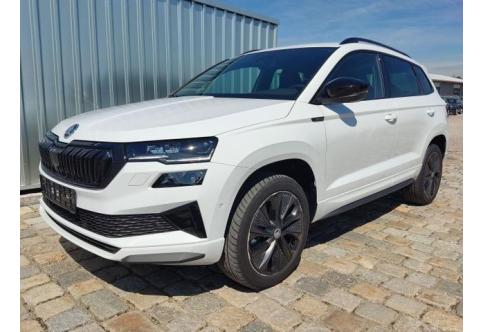 Skoda Karoq #1
