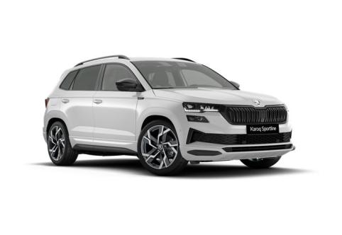 Skoda Karoq #1