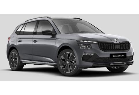 Skoda Kamiq #1