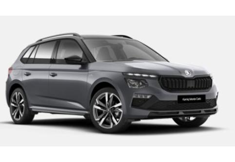 Skoda Kamiq #1