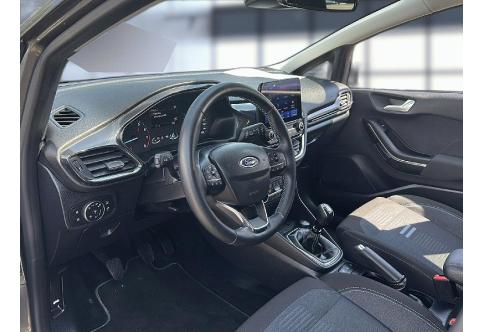 Ford Fiesta #10