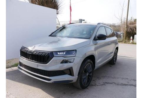 Skoda Karoq #1