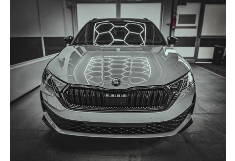 Skoda Octavia #2