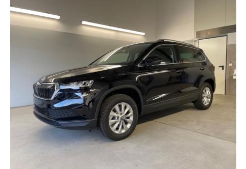Skoda Karoq #1