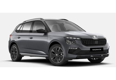 Skoda Kamiq #1