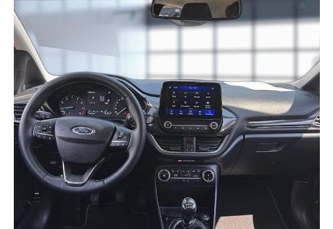 Ford Fiesta #17
