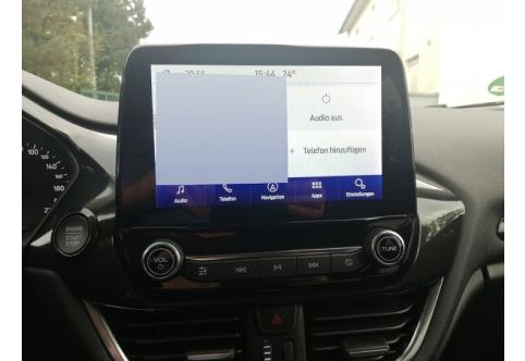 Ford Fiesta #15