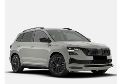 Skoda Karoq #1