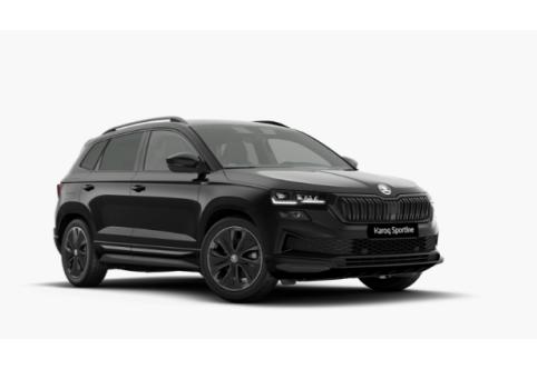 Skoda Karoq #1