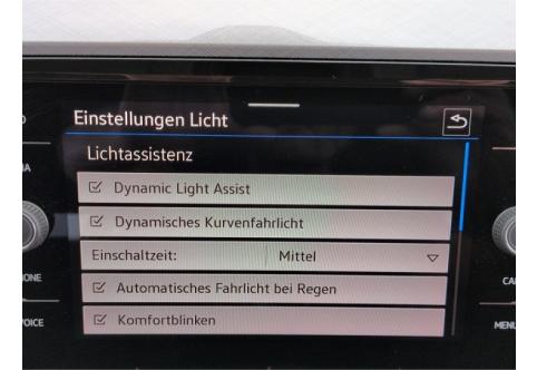VW Passat #14