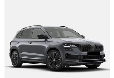 Skoda Karoq #1
