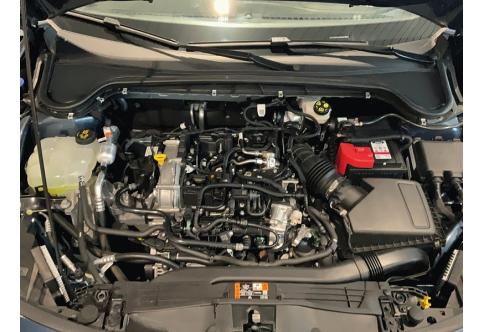 Ford Focus #25