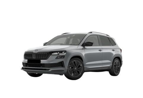 Skoda Karoq #1
