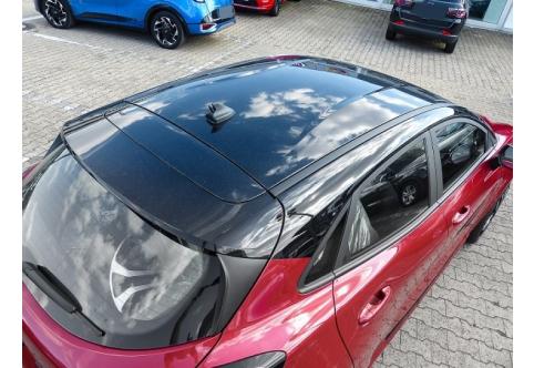 Ford Puma #16
