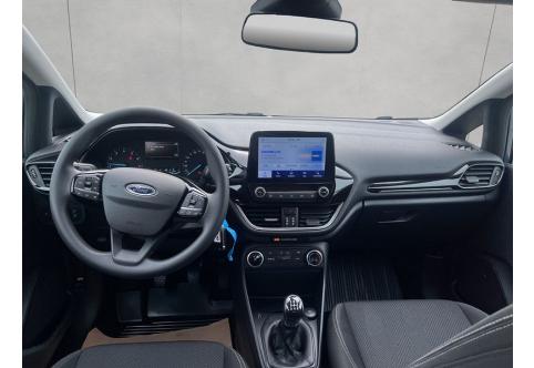 Ford Fiesta #13