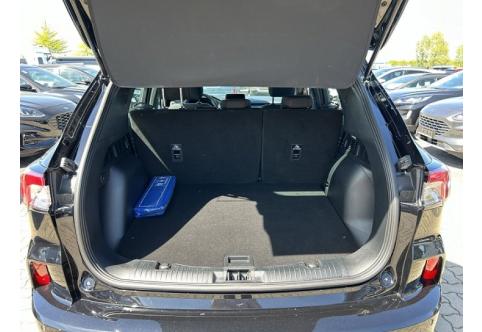 Ford Kuga #9