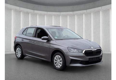 Skoda Fabia #18