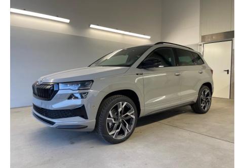 Skoda Karoq #1