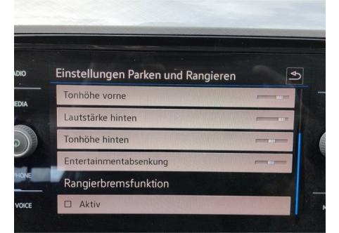 VW Passat #13