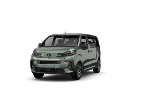 Peugeot Traveller #1