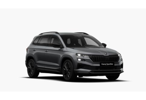 Skoda Karoq #1