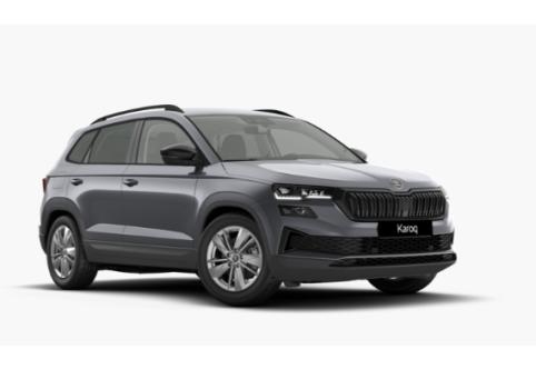 Skoda Karoq #1