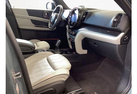 Mini Countryman #10