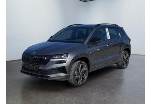 Skoda Karoq #1