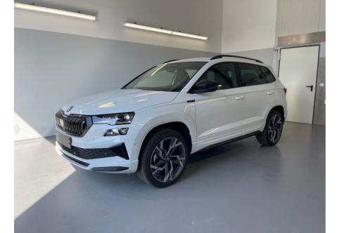Skoda Karoq #1