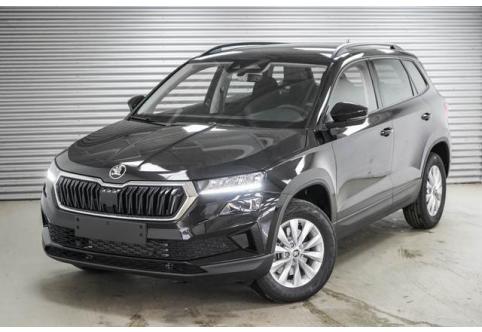 Skoda Karoq #1