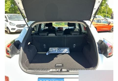Ford Puma #9
