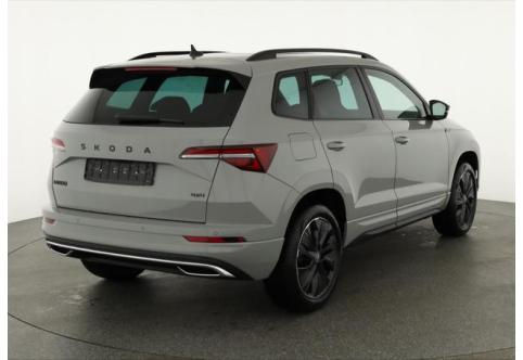 Skoda Karoq #1