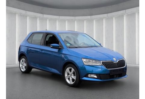 Skoda Fabia #19
