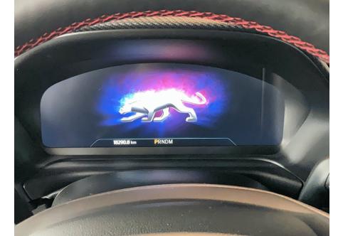 Ford Puma #20